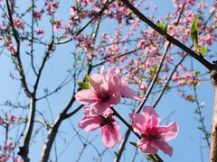 -苏州河梦清园环保主题公园