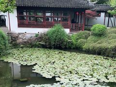 -上海醉白池公园