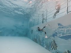 -青鱼湾水上乐园