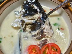 -全乐鱼馆·淳牌有机鱼直营店