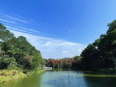-金山植物公园