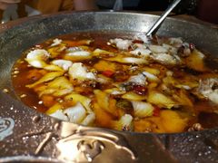 蜀龙阁水煮鱼-雲蜀龙阁·金牌水煮鱼(方庄店)