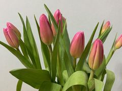 -循礼门鲜花花市(武汉循礼门店)