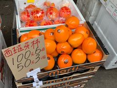-油麻地果栏
