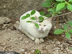 -天津盘山风景名胜区