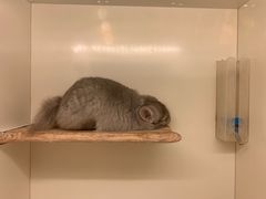 -龙猫仔乐园(惠福东路店)