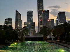 -深圳星河丽思卡尔顿酒店