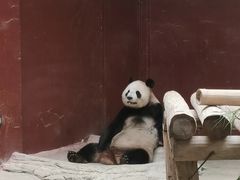 -杭州野生动物世界