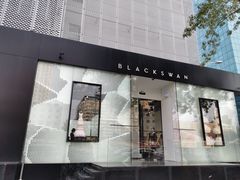 门面-BLACKSWAN黑天鹅(环球店)