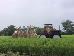 -嘉北郊野公园