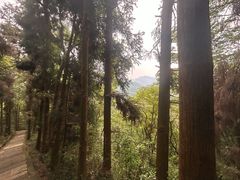 -峨眉山风景名胜区