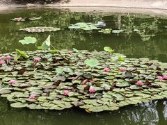 -国家植物园南园