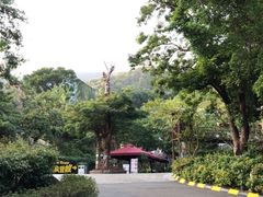 -东部华侨城