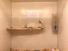 -龙猫仔乐园(惠福东路店)