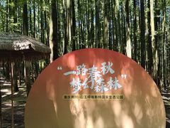 -山王坪喀斯特国家生态公园