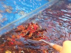 -加勒比阳光环球美食自助(凯德店)