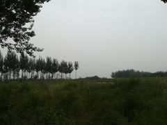 -汉长安城未央宫国家考古遗址公园