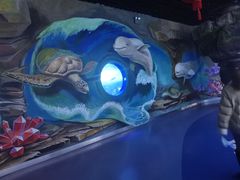 -多彩贵州城极地海洋世界