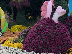 -上海共青森林公园