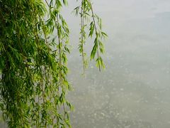 -月牙潭公园