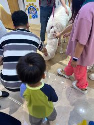 -小象动悟公园(龙湖亦庄天街店)