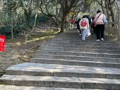 -珞珈山-售票处