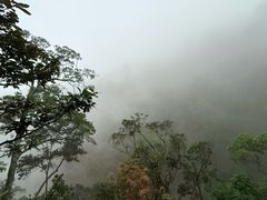 -海南热带雨林国家公园吊罗山景区
