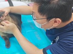 -芭比堂动物医院·CT·微创中心(新顺分院)