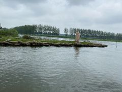 -微山湖红荷湿地景区