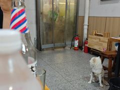 -黄小串·烤串海鲜涮牛肚(升龙广场店)