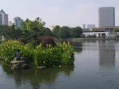 -月湖公园