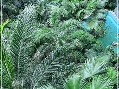 -黑龙江中医药大学附属第一医院