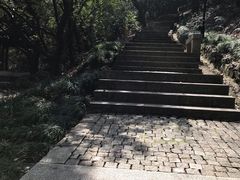 -苏州上方山国家森林公园