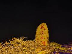 -东湖磨山景区樱花园-停车场