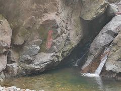 -云岫谷游猎自然风景区