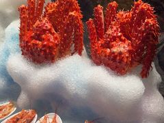 -雍容荟帝王蟹活龙虾展台自助(IFS黑金店)