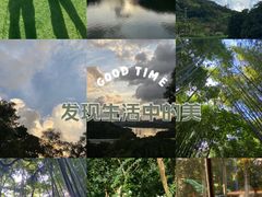 -深圳市中科院仙湖植物园