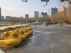 -团结湖公园