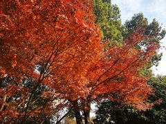 -上海市龙华烈士陵园