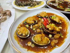 小鲍鱼酱油水-鑫悦楼煎蟹·16年海鲜大排档