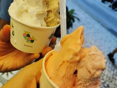 -柠檬车露(卖草地店)