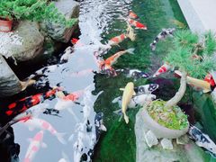 -贵阳高新惠诚食品有限公司