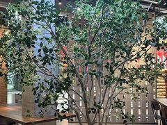 -喜马拉雅森(运河汇1958店)