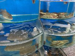 -海之味海鲜大咖·家常菜