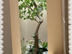 -宫七SPA·高端Massage(浦东大道店)