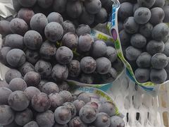 -马陆小张葡萄园农家乐