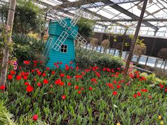 -南宫五洲植物乐园