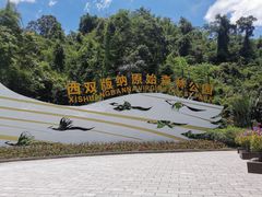 -西双版纳原始森林公园