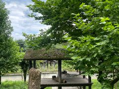 -中国大熊猫保护研究中心雅安碧峰峡基地