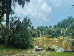 -中国科学院西双版纳热带植物园